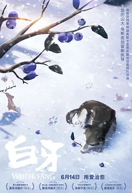 十二寡妇肉床艳史完整版