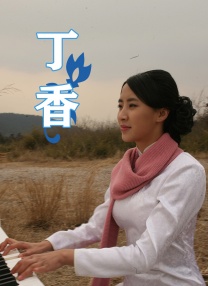 伊人网伊人网